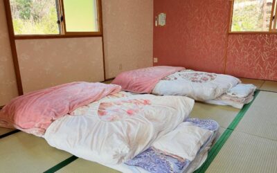 春休みがいよいよやってきますね新しい季節の始まりを祝うために