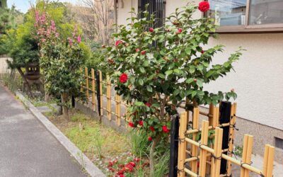 兵庫県神戸市、六甲山の手にある一棟貸の宿泊施設「六甲パーラー